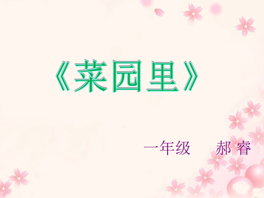 《菜园里》教学课件.ppt_第1页