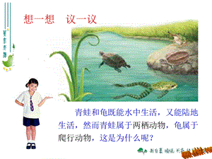 两栖动物和爬行动物 [精选文档].ppt