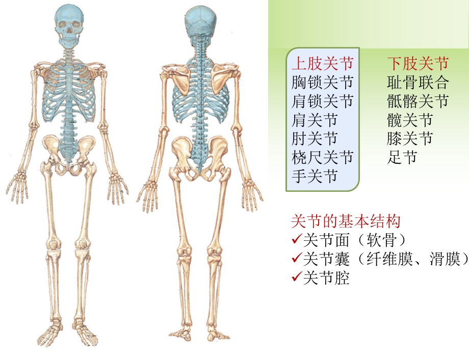 关节炎的鉴别诊断文档资料.ppt_第1页