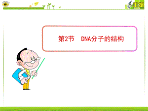 3.2DNA分子的结构课件4.ppt