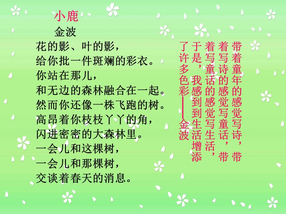 《盲孩子和他的影子》（朱彦洁）.ppt_第1页