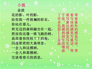 《盲孩子和他的影子》（朱彦洁）.ppt