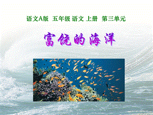 富饶的海洋先学后教.ppt