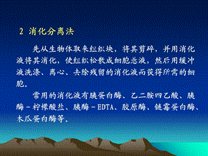 动物细胞培养的基本方法文档资料.ppt