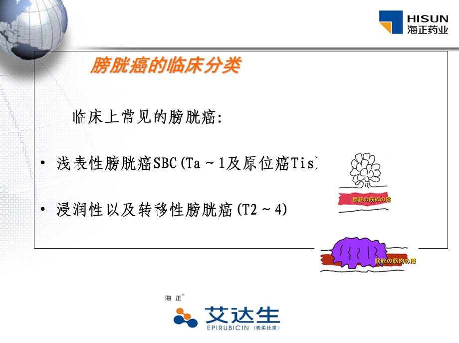 表柔比星膀胱灌注化疗介绍文档资料.ppt_第3页