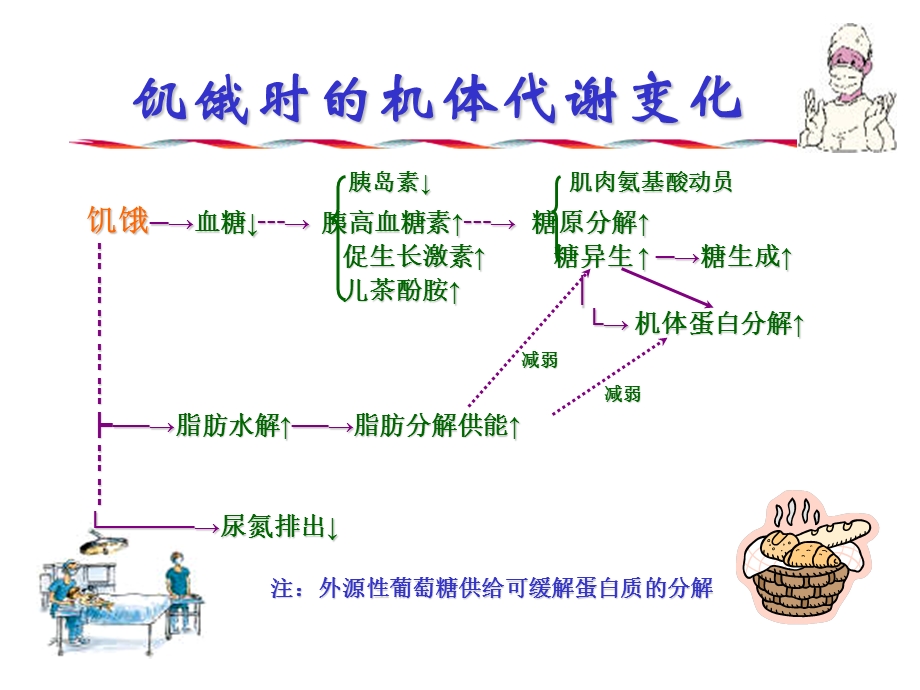 八章节营养支持病人护理文档资料.ppt_第3页