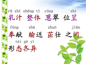 一片美丽的叶子[精选文档].ppt