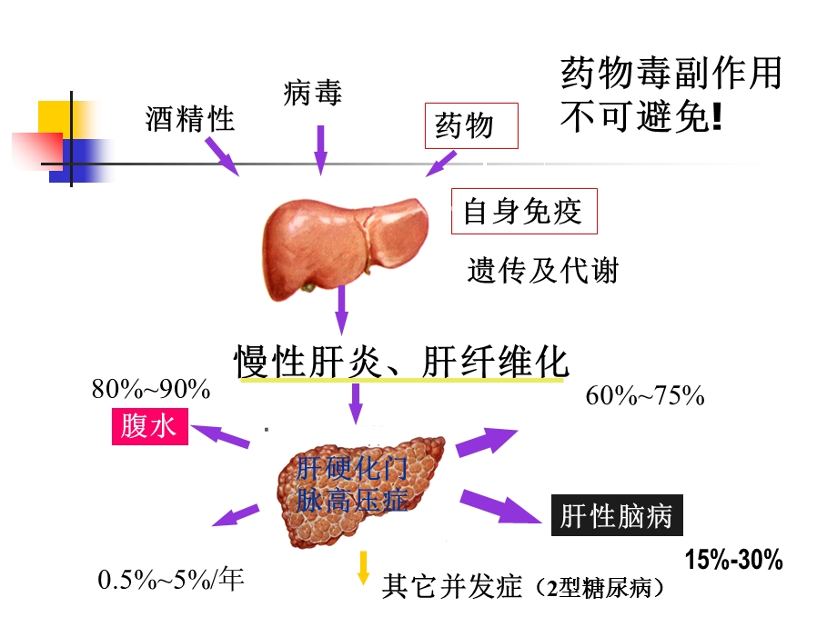 药物性肝病研究ppt课件文档资料.ppt_第3页