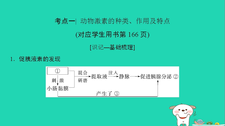 全国版高考生物一轮复习第8单元生命活动的调节第3讲动物激素调节及与神经调节的关系课件PPT文档.ppt_第3页