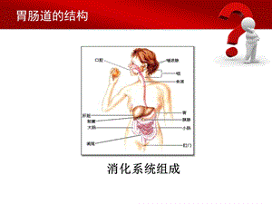 急性胃肠损伤PPT课件文档资料.ppt