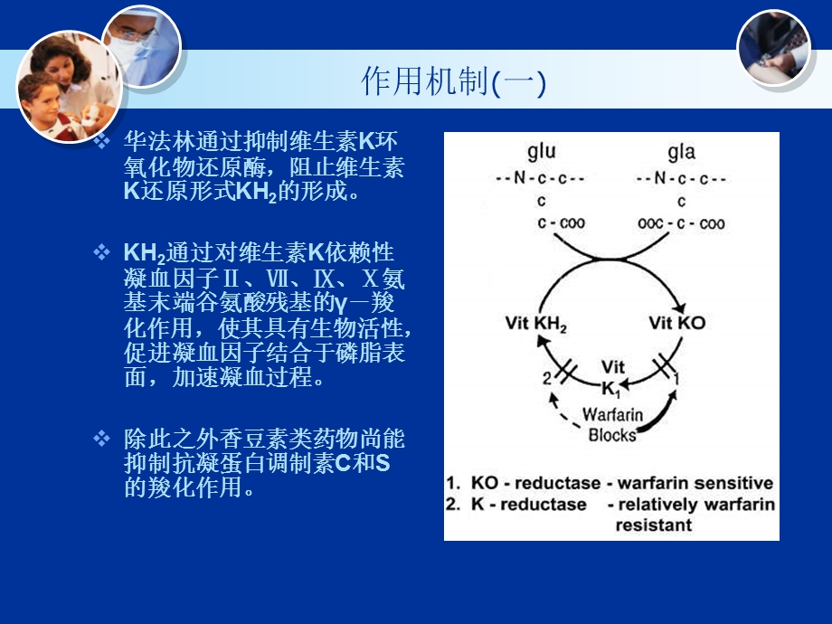 围起搏器安装期华法林的应用文档资料.ppt_第1页