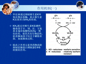 围起搏器安装期华法林的应用文档资料.ppt