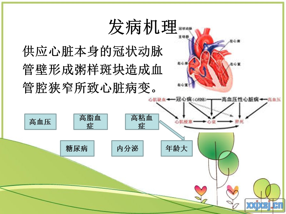 【医药健康】激光心肌血管重建术文档资料.ppt_第2页