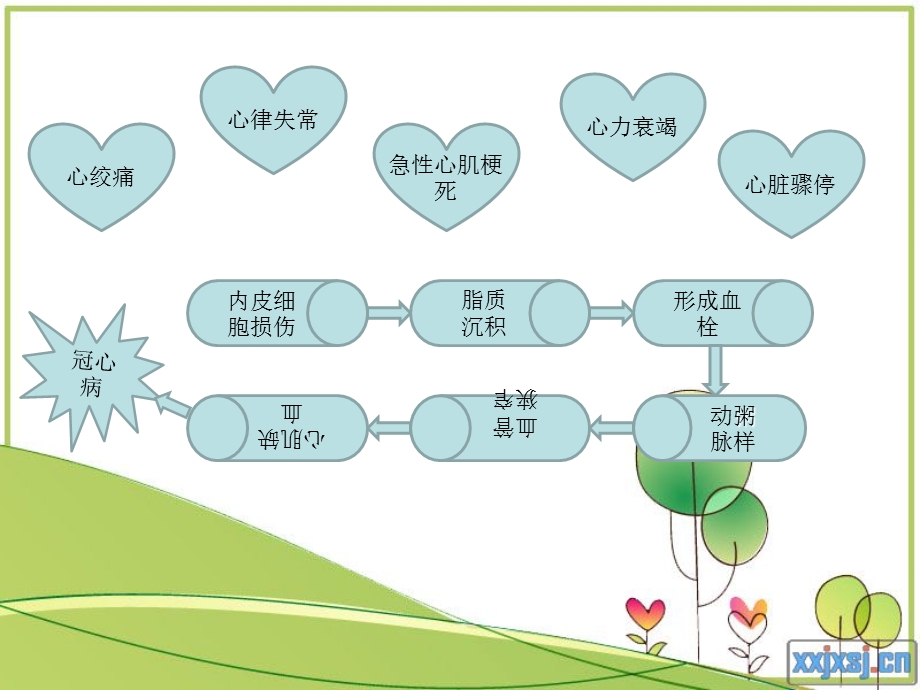 【医药健康】激光心肌血管重建术文档资料.ppt_第3页