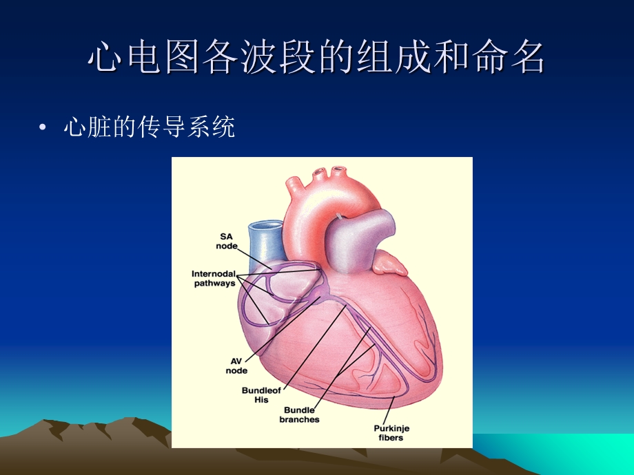 正常心电图xg文档资料.ppt_第2页