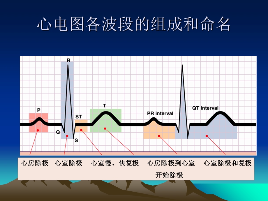 正常心电图xg文档资料.ppt_第3页