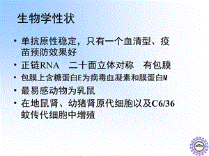 其他病毒文档资料.ppt