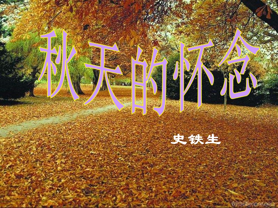 2天的怀念PPT.ppt_第3页