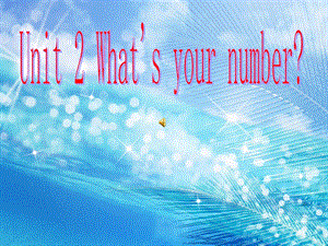 What's_your_number_课件(2).ppt