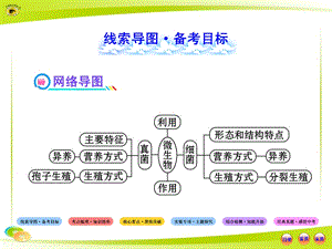 人教版初中生物中考复习八上第四章分布广泛的细菌和真菌第五章细菌和真菌在生物圈中的作用PPT文档.ppt