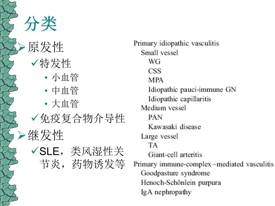 血管炎分析课件文档资料.ppt_第3页