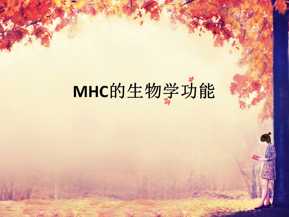 MHC的生物学功能.pptx_第1页