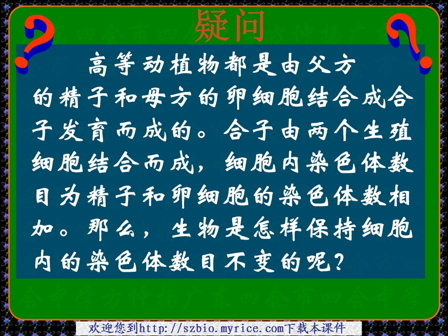 和卵细胞的染色体数相加那么生物是怎样保持文档资料.ppt_第2页