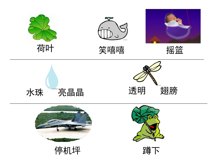 《荷叶圆圆》（课件）.ppt_第2页