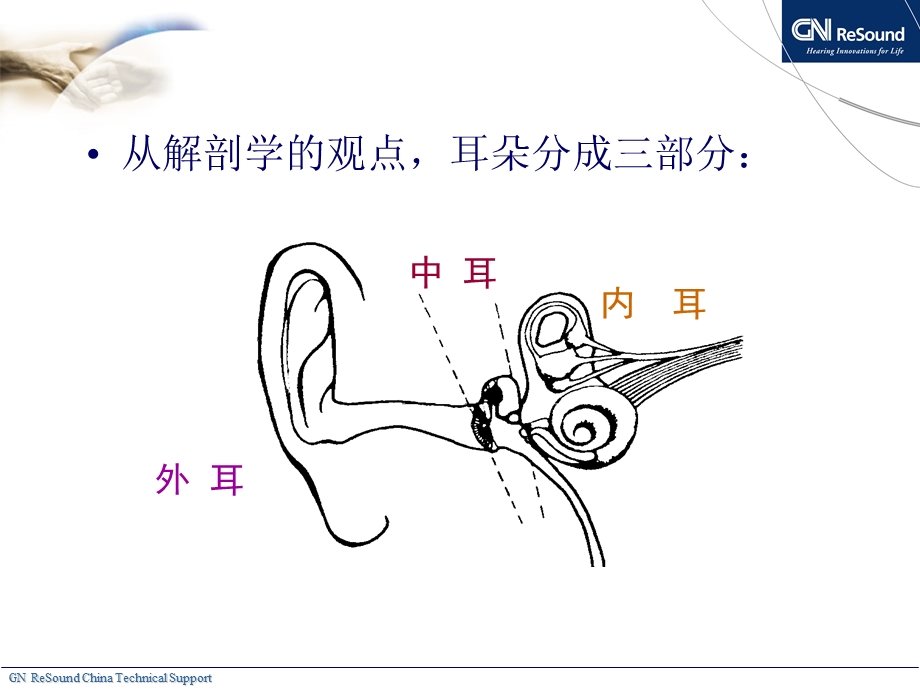 耳朵的解剖与生理文档资料.ppt_第2页