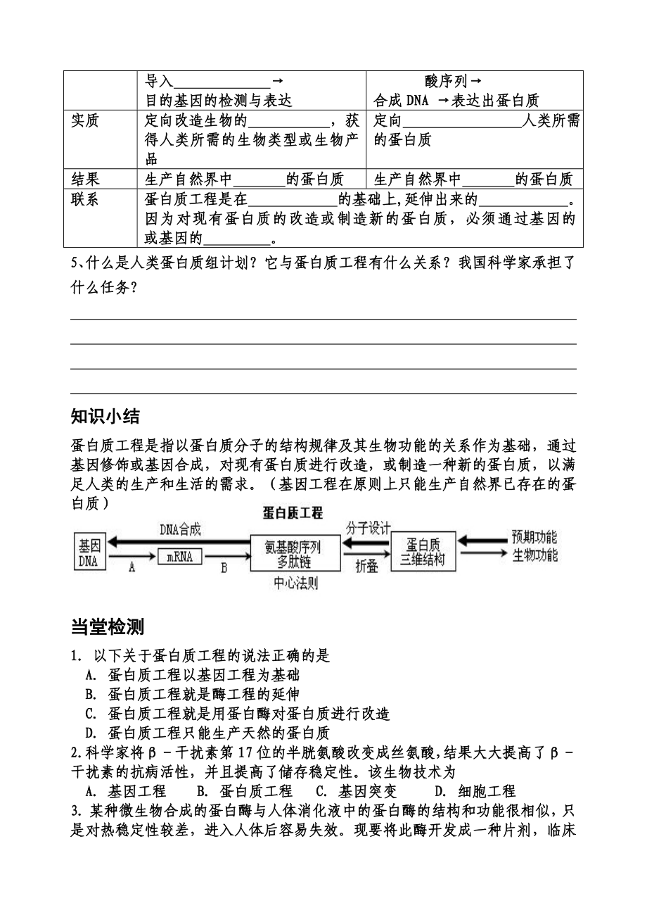 蛋白质工程的崛起.doc_第3页