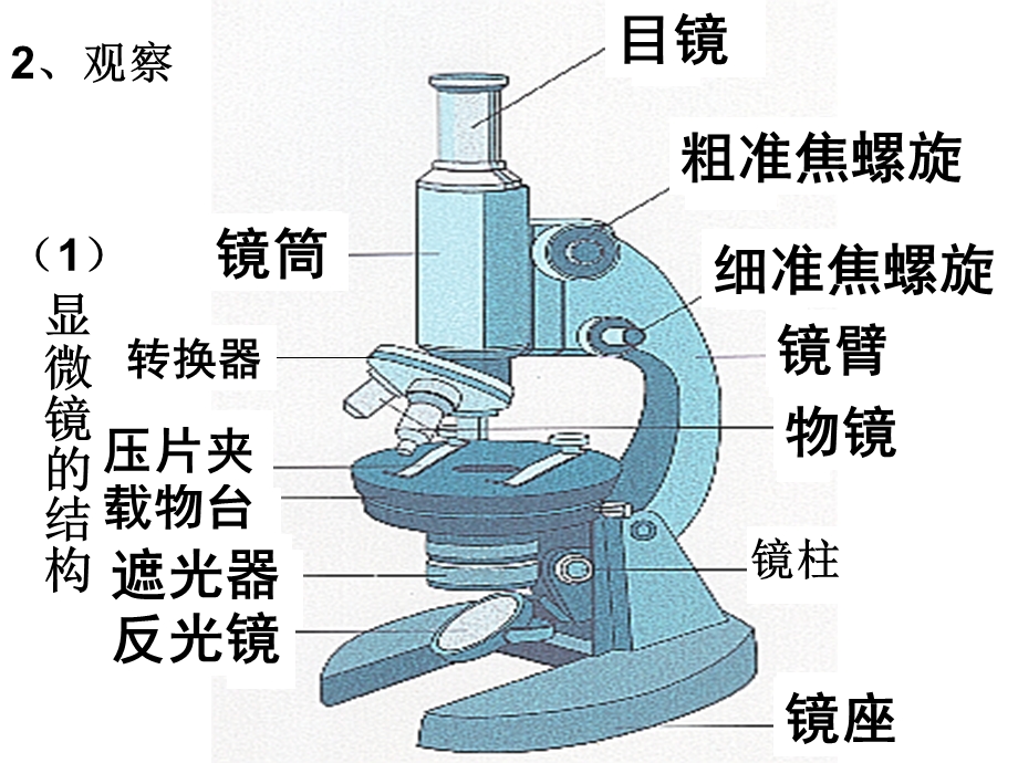 人教版教学课件第1章第2节细胞的多样性和统一PPT文档.ppt_第2页