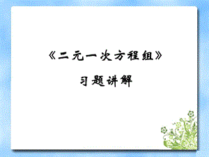 《二元一次方程组》习题复习课件.ppt