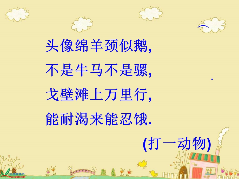 《小骆驼》PPT课件（水土滩口小学-肖霞）.ppt_第1页