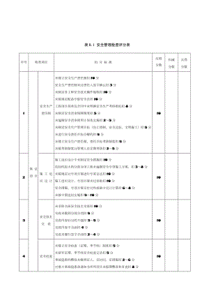 安全检查评分表-(10项).doc