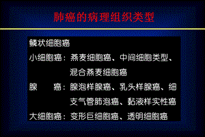 肺癌 CT征象及其病理基础文档资料.ppt