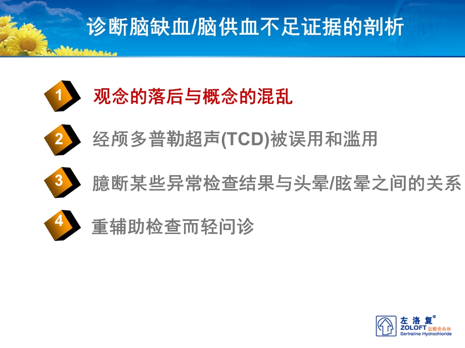 头晕、脑供血不足文档资料.ppt_第2页