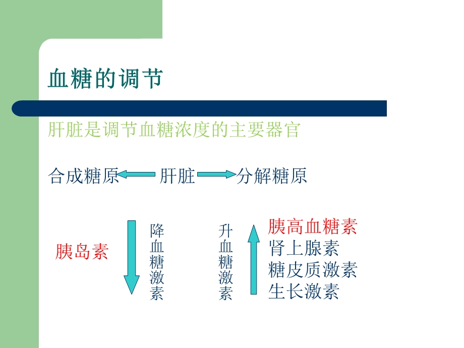 血糖监测技术文档资料.ppt_第2页