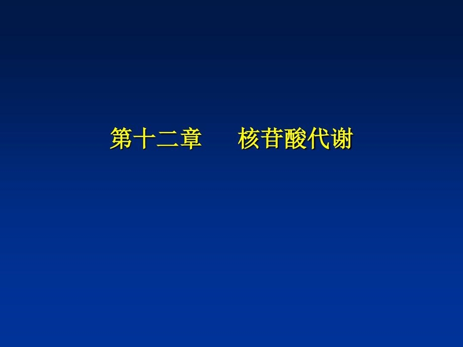 嘧啶核苷酸的分解代谢.ppt_第2页