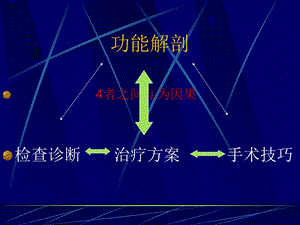 手外科功能解剖ppt课件文档资料.ppt