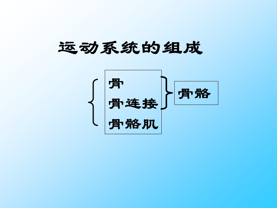 《动物的运动》课件1.ppt_第2页