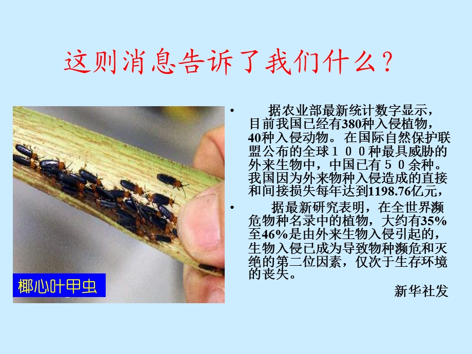 《生物入侵者》课件1.ppt_第1页