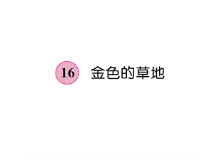 三年级上册语文课件－第5单元 16 金色的草地｜人教部编版 (共17张PPT).ppt