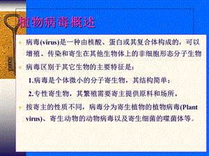 植物病毒.ppt1文档资料.ppt