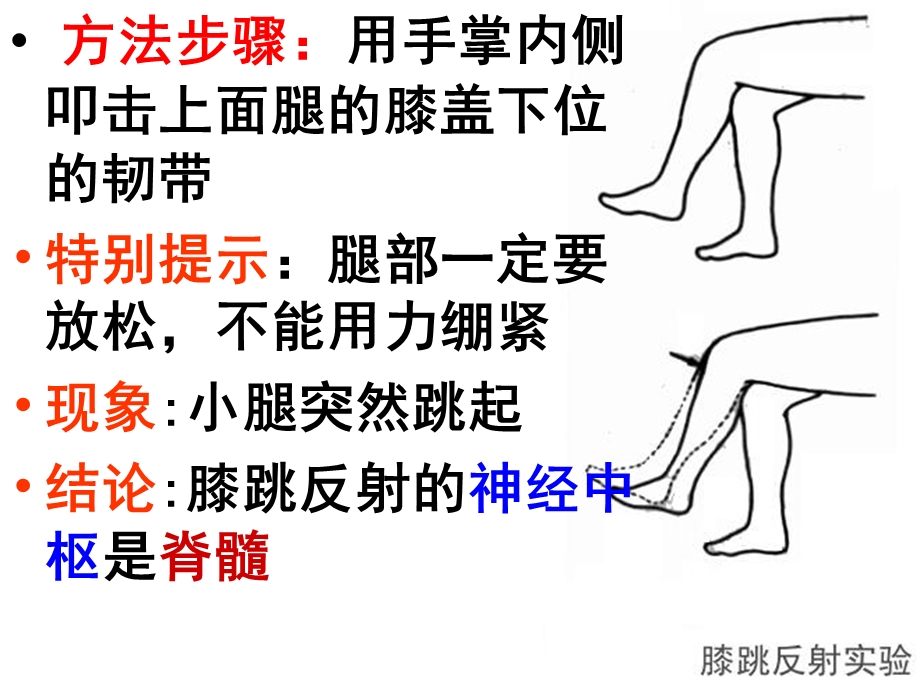 人教版七年级生物下册第六章第三节神经调节的基本方式教学课件精选文档.ppt_第3页