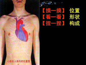 输送血液泵—心脏文档资料.ppt