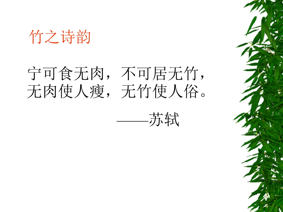 七年级语文竹影[精选文档].ppt_第3页