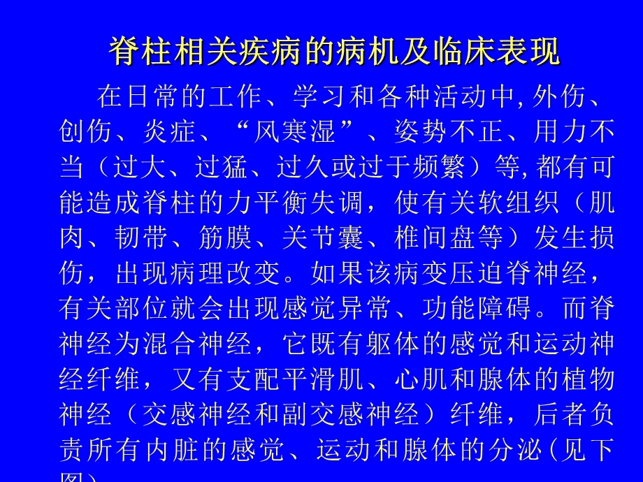 针刀医学和脊柱相关疾病的关系文档资料.ppt_第3页