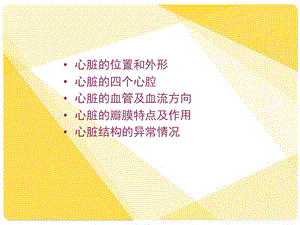 心脏解剖讲义文档资料.ppt