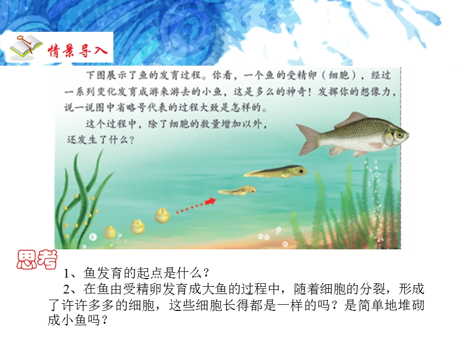 人教版生物七年级上册2.2.2动物体的结构层次课件(共17张PPT).ppt_第2页