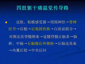 脑与脊髓的主要传导束文档资料.ppt